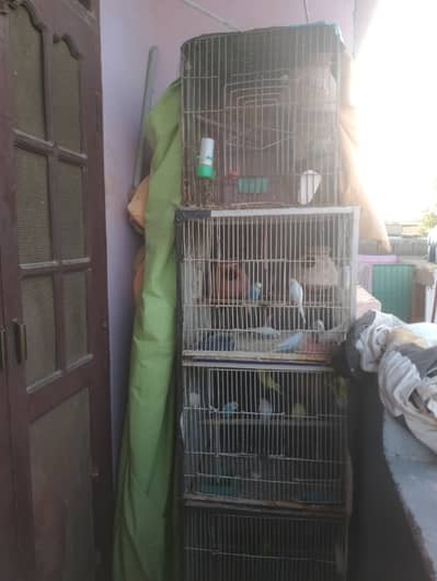 Buddies and Cage for sale