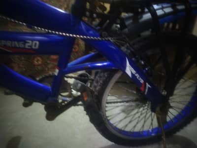 Cycle