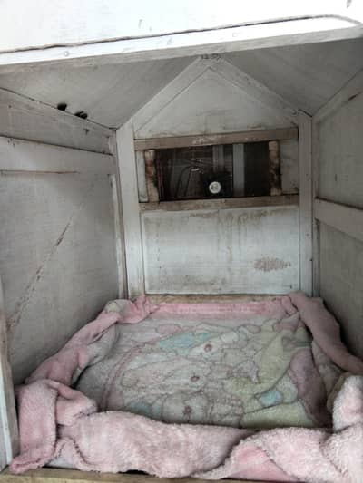 Dog house  very big and comfortable for your dog 