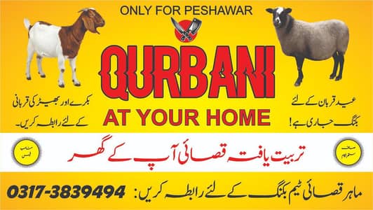 Qasai/ Butcher Service