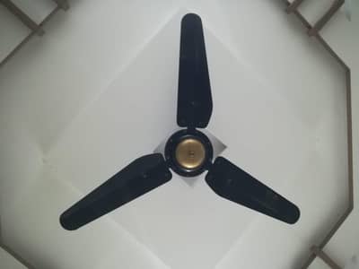 Ceiling fan for sale