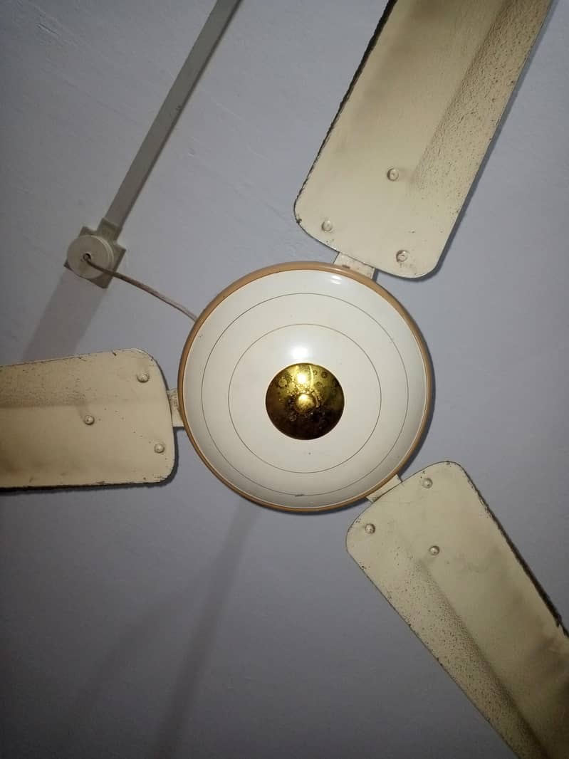 Ceiling Fan 1