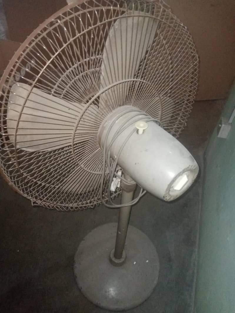 Ceiling Fan 2