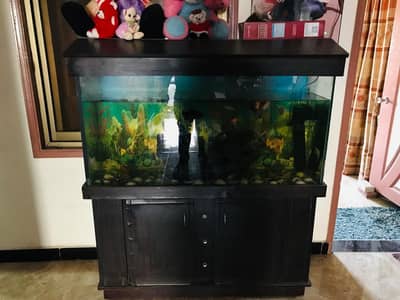 4 fit aquarium