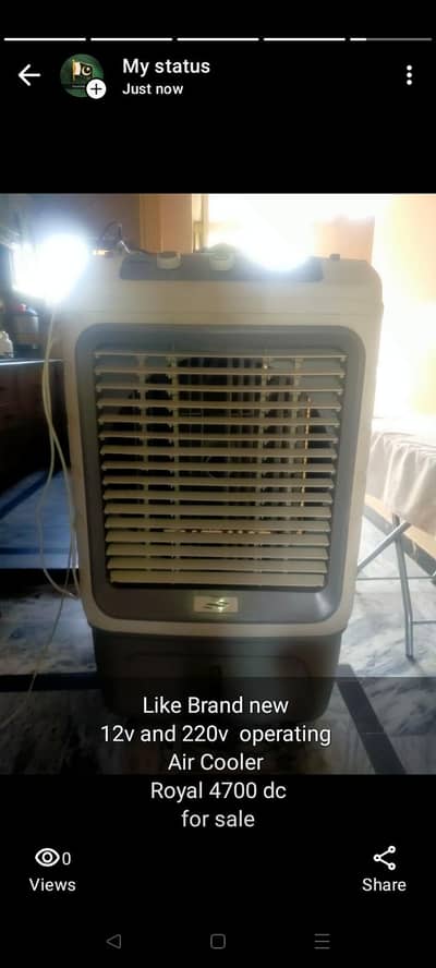 Royal Solar Cooler
