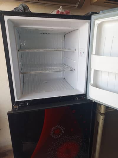 Glass Door Fridge