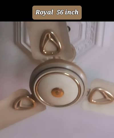 Royal AC Ceiling Fan 56 inch