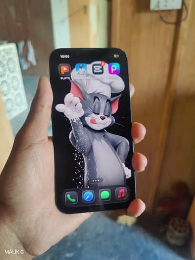 iphone 13 256gb