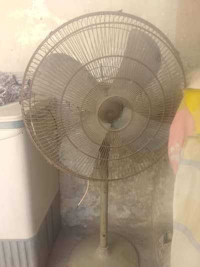 falcan fan