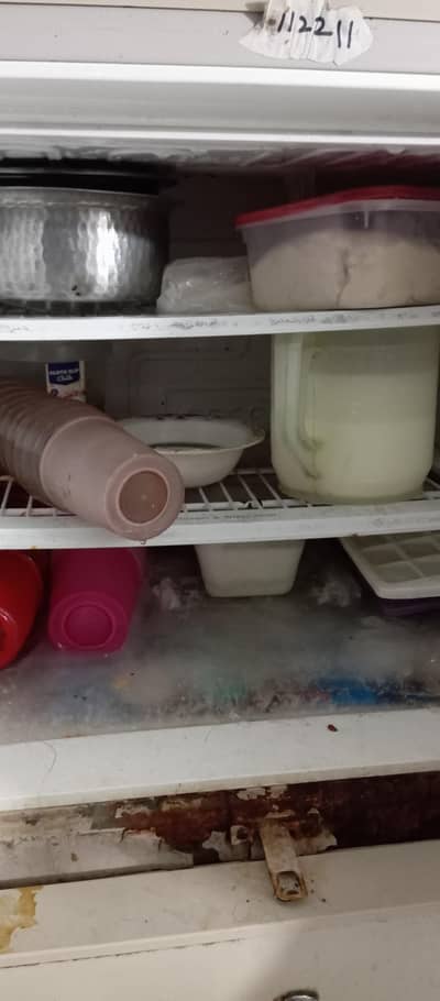 refrigerator