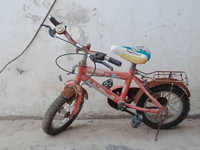 Bi Cycle