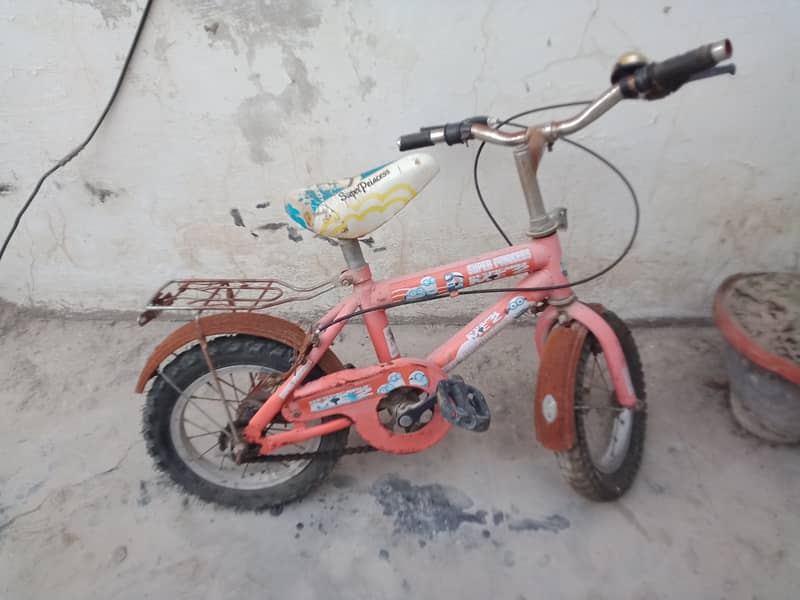 Bi Cycle 1