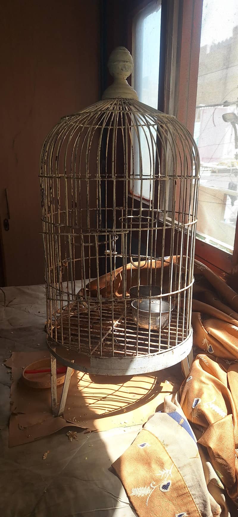 cages 1
