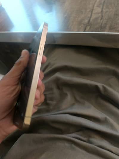 iphone 12 pro max pta approved