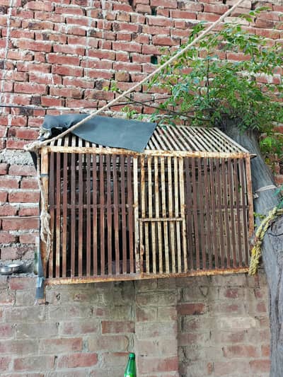 Iron Cage For Sale 350×42