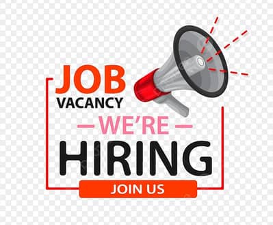 Females Assistant for office and CEO