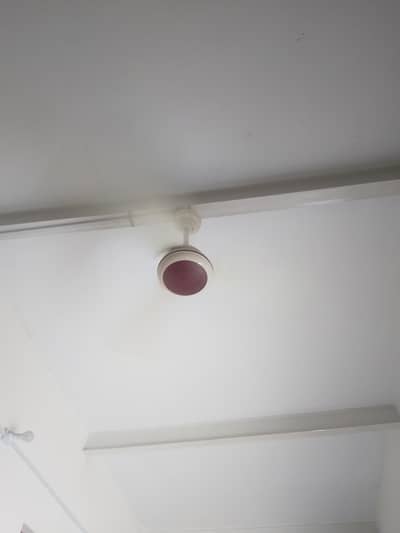 celling fan