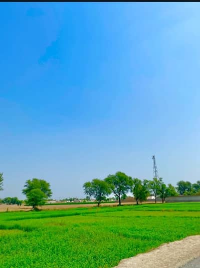 Buy 128 Kanal Agricultural Land At Highly Affordable Price