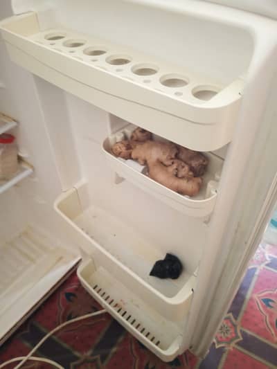 LG fridge