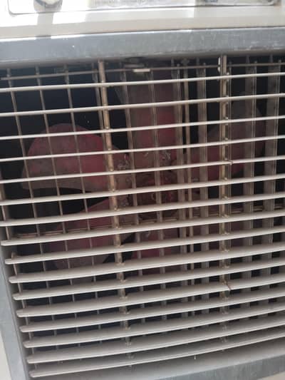 Mezan Air cooler