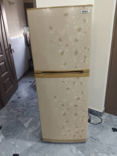 Orient medium size used