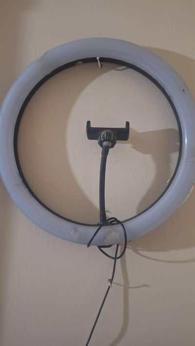 ring light with stand