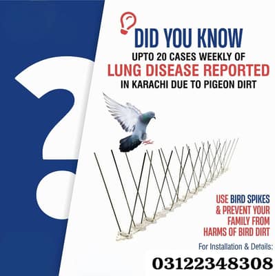 Bird Spikes to Stop Unwanted Birds pack of 3 1800