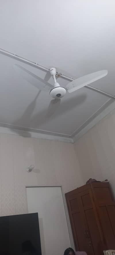 Royal fan
