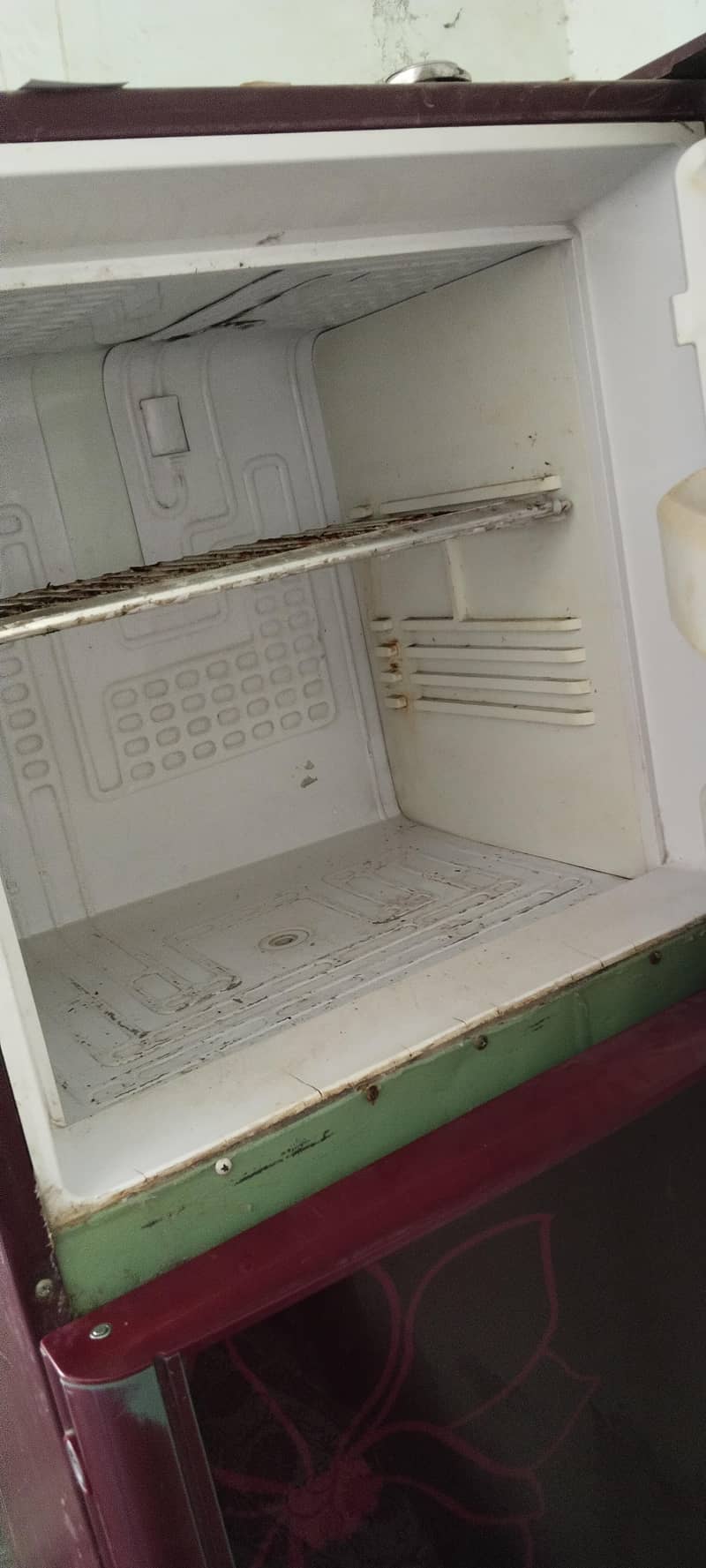 refrigerator 3