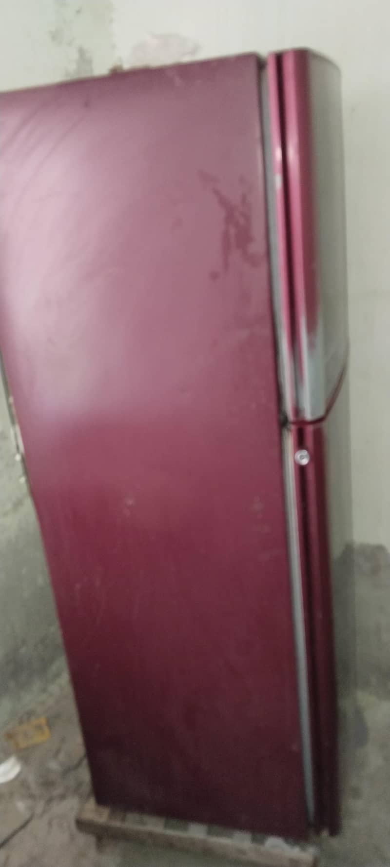 refrigerator 6