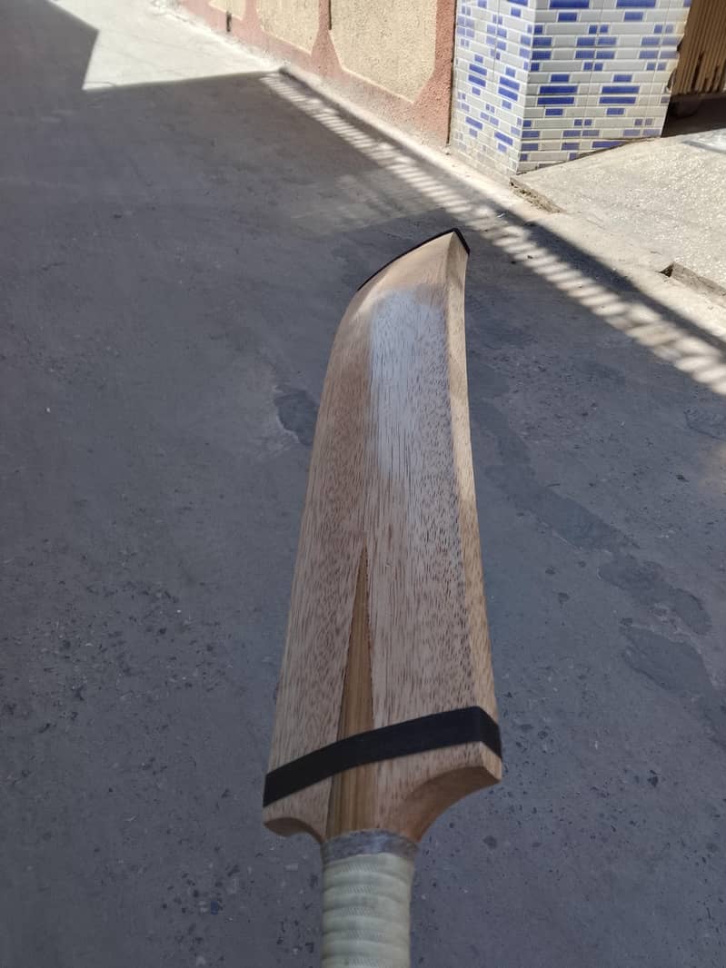 Cricket bat 0