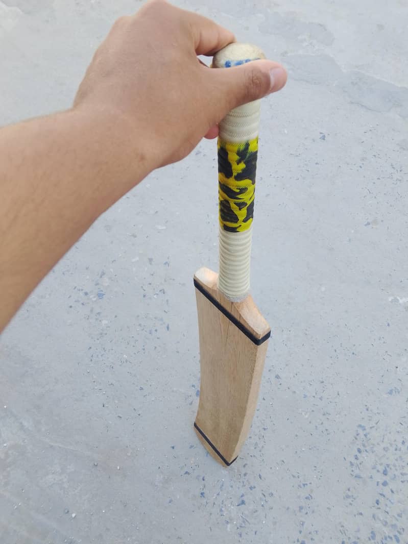 Cricket bat 1