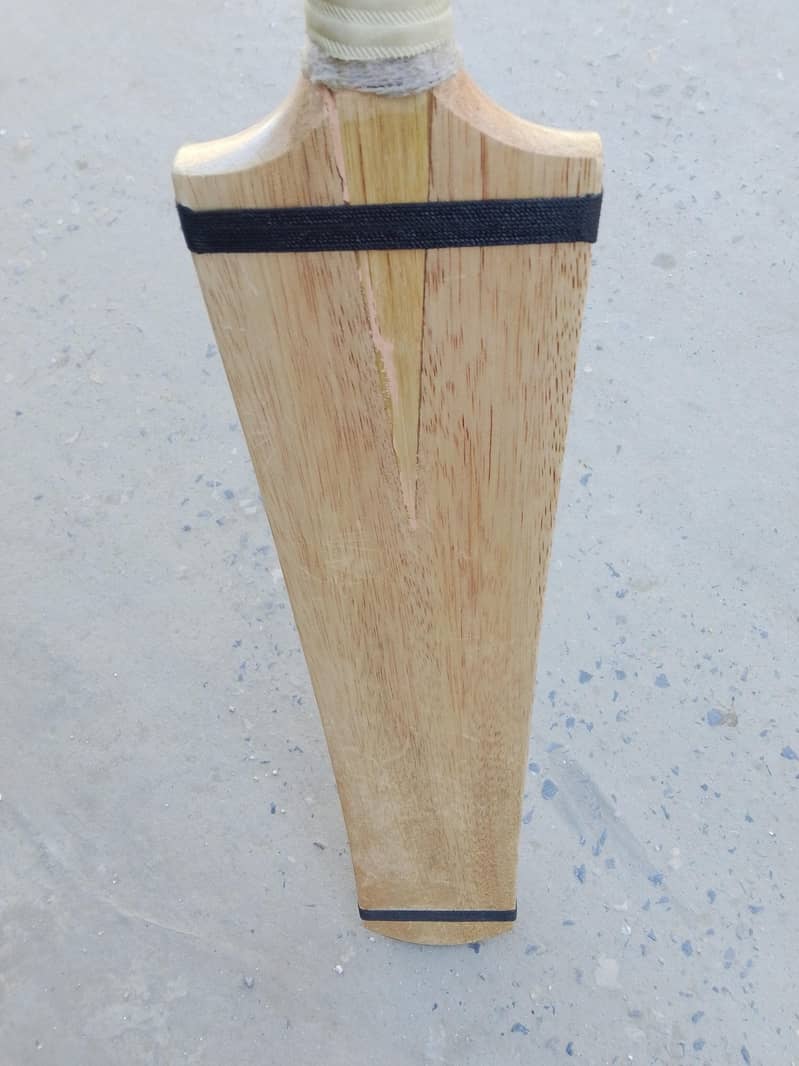 Cricket bat 5