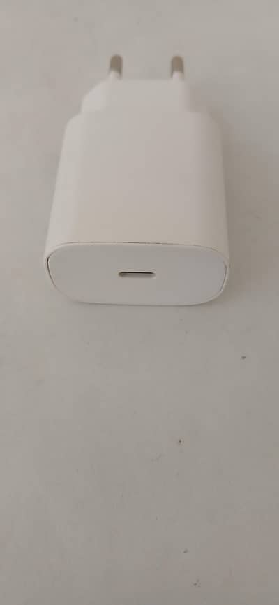 25 Watt Type C to Type C Charger
