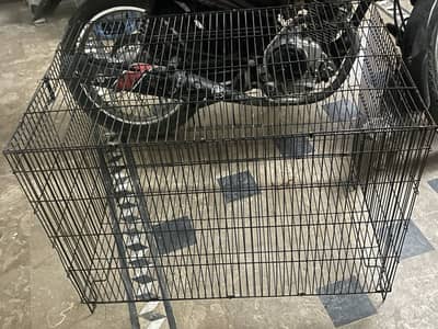 Animals cage