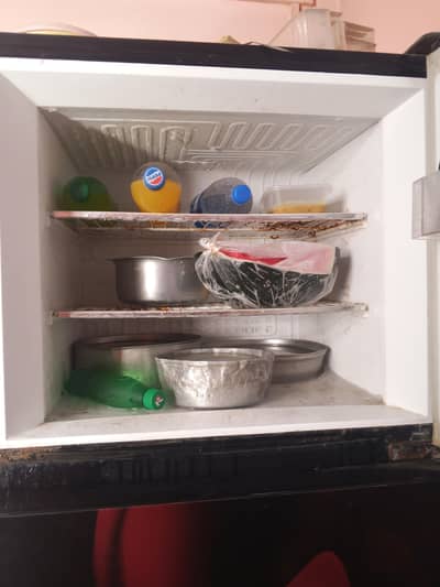 refrigerator & Freezer