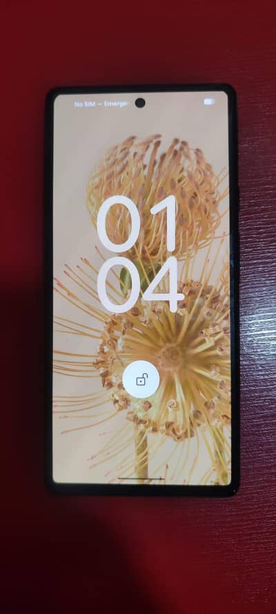 pixel 6 PTA Approved