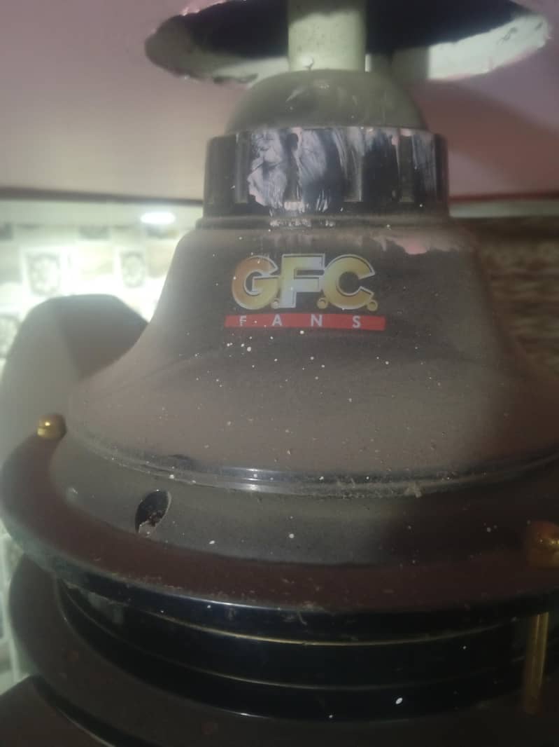 GFC fan 1