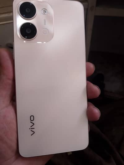 vivio y11d