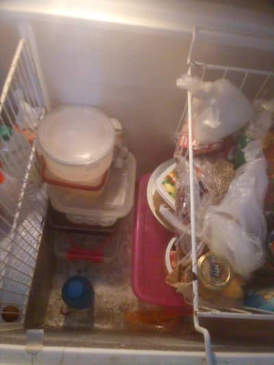 waves single door deep freezer for sale