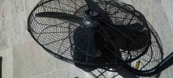 royal fan