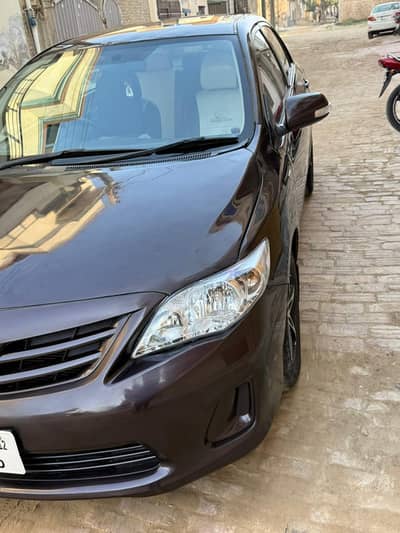Toyota carolla gli home used Car hai