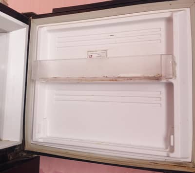 PEL Family Size Refrigerator / Fridge for Sale | Large Capacity