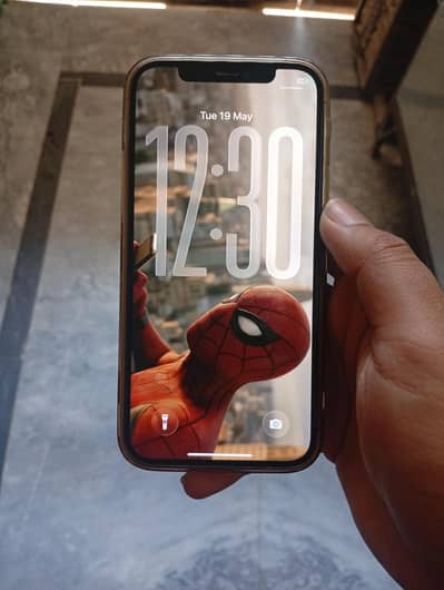 iphone 12 pro (gold)
