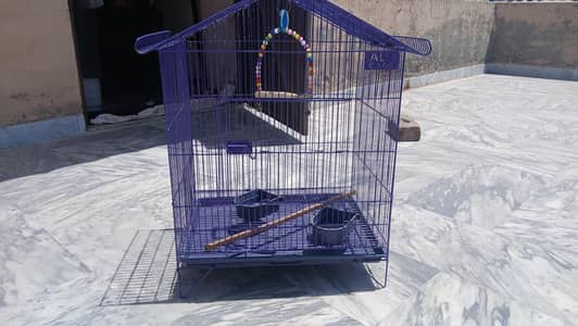 Cages for parrots | cage for sale