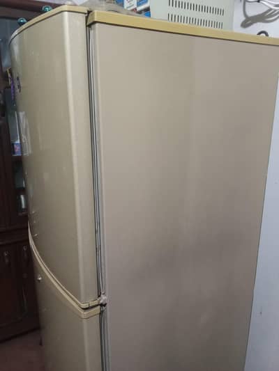 PEL refrigerator & freezer inverter