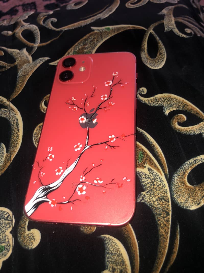 Iphone 12 Mini 1