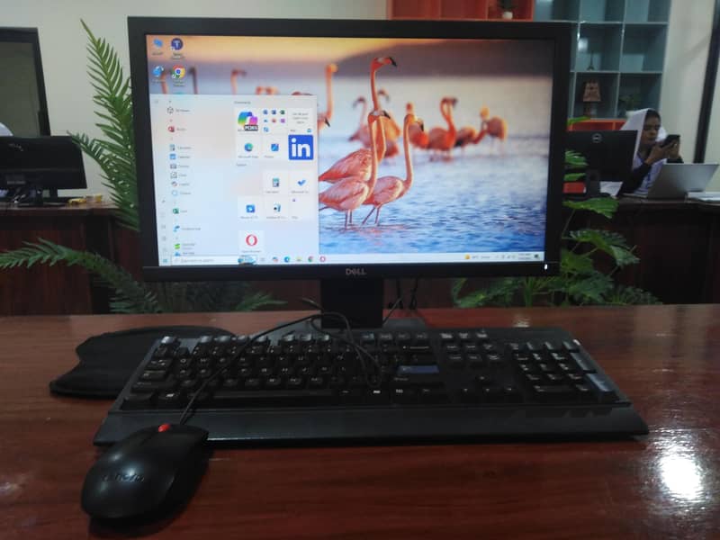dell moniter 0