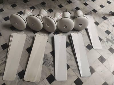 Ceiling Fans for sale