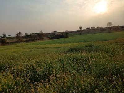 30 Kanal Faram House Land For Sale Nella Dulla Chakwal